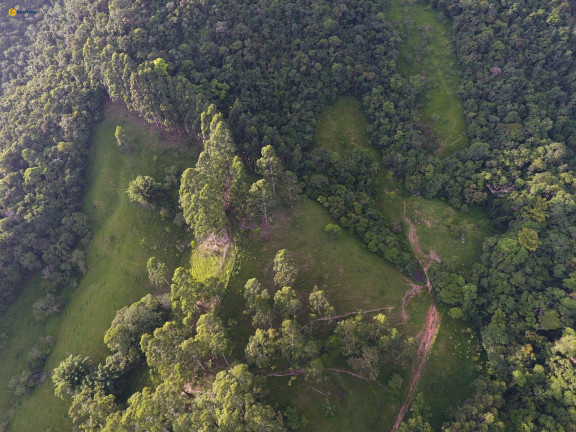 Imagem Terreno à Venda, 370.489 m² em Sul Do Rio - Santo Amaro Da Imperatriz Imagem Terreno à Venda, 370.489 m² em Sul Do Rio - Santo Amaro Da Imperatriz