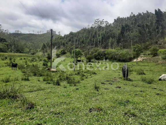 Imagem Fazenda à Venda, 600 m² em Cedro - Paraibuna Imagem Fazenda à Venda, 600 m² em Cedro - Paraibuna
