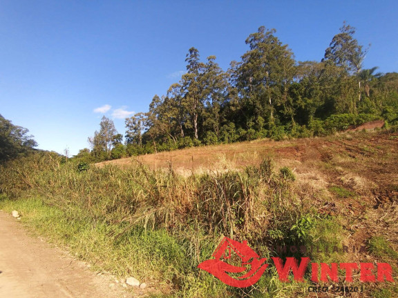 Imagem Chácara à Venda, 33.000 m² em Bananal - Feliz