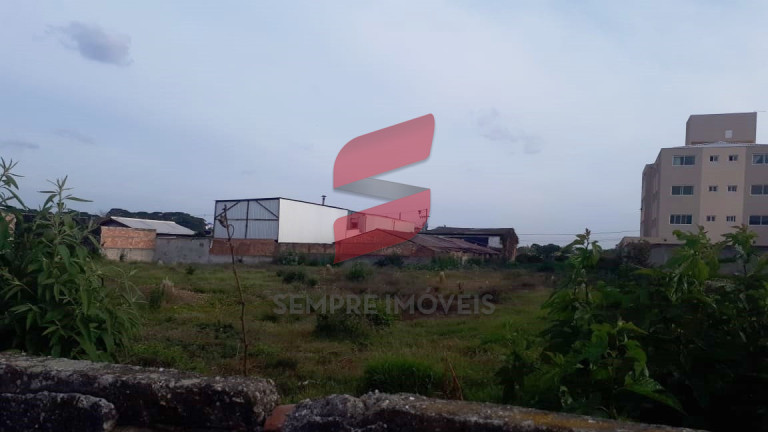 Imagem Terreno à Venda, 3.000 m² em Independência - São José Dos Pinhais Imagem Terreno à Venda, 3.000 m² em Independência - São José Dos Pinhais