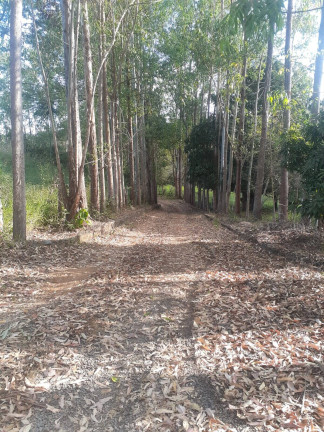 Chácara com 3 Quartos à Venda, 5 m² em Alexânia