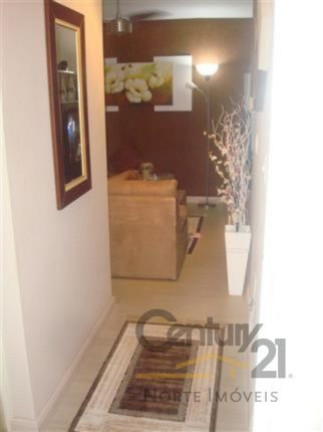 Imagem Apartamento com 3 Quartos à Venda,  em Vila Amélia - São Paulo