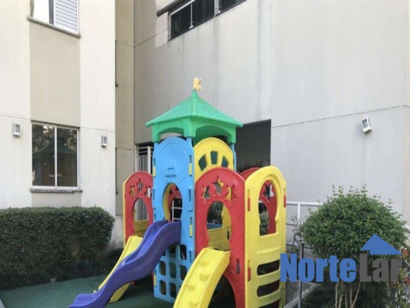 Imagem Apartamento com 2 Quartos à Venda, 50 m² em Vila Amélia - São Paulo