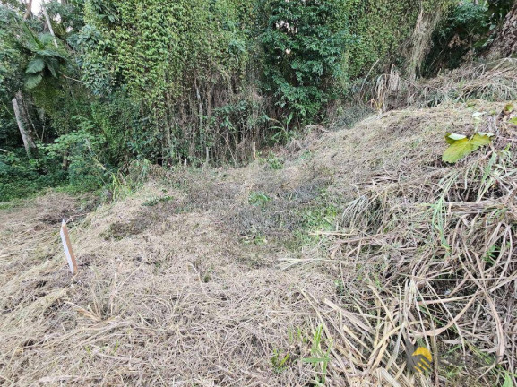 Imagem Terreno à Venda, 404 m² em água Verde - Blumenau Imagem Terreno à Venda, 404 m² em água Verde - Blumenau