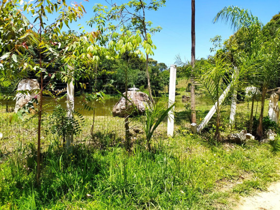 Imagem Imóvel com 3 Quartos à Venda, 27.000 m² em Centro - Contenda