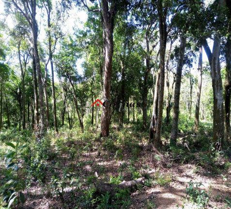 Imagem Terreno à Venda, 30.000 m² em Depois Do Centro - Ibiúna Imagem Terreno à Venda, 30.000 m² em Depois Do Centro - Ibiúna