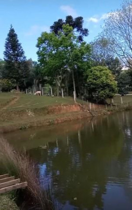 Imagem Imóvel com 6 Quartos à Venda, 300 m² em Areia Branca Dos Assis - Mandirituba