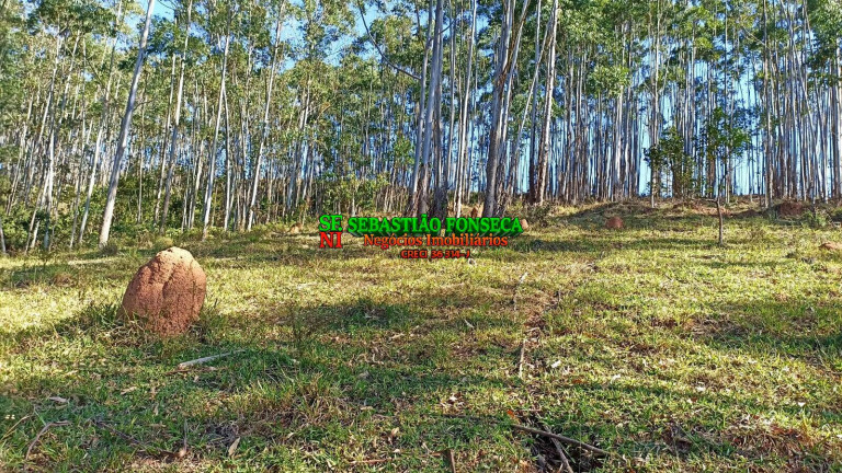 Imagem Chácara à Venda, 2 m² em Centro - Paraibuna Imagem Chácara à Venda, 2 m² em Centro - Paraibuna