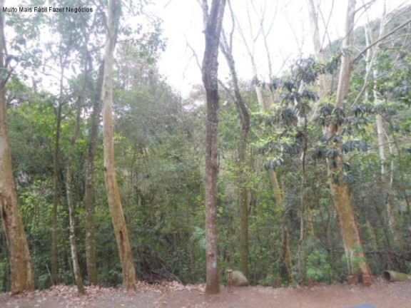 Imagem Terreno à Venda, 3 m² em São José Do Caí - Nova Petrópolis Imagem Terreno à Venda, 3 m² em São José Do Caí - Nova Petrópolis