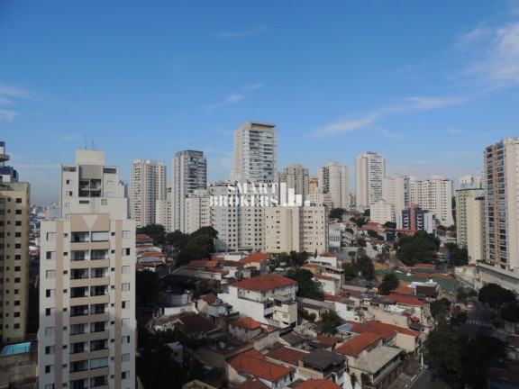 Imagem Apartamento com 3 Quartos à Venda, 75 m² em Chácara Inglesa - São Paulo Imagem Apartamento com 3 Quartos à Venda, 75 m² em Chácara Inglesa - São Paulo