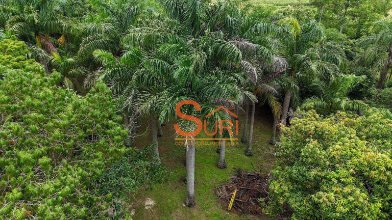 Imagem Fazenda à Venda, 1.000 m² em área Rural - Jaguariúna Imagem Fazenda à Venda, 1.000 m² em área Rural - Jaguariúna