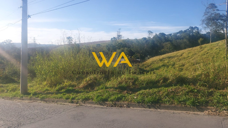 Imagem Terreno à Venda, 5.300 m² em Vila Nova Aparecida - Mogi Das Cruzes