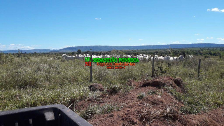 Imagem Fazenda à Venda, 1.200 m² em área Rural De Xinguara - Xinguara