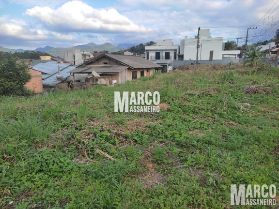 Imagem Terreno à Venda, 1 m² em Chico De Paula - Jaraguá Do Sul Imagem Terreno à Venda, 1 m² em Chico De Paula - Jaraguá Do Sul
