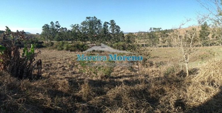 Imagem Imóvel com 2 Quartos à Venda, 7.000 m² em Zona Rural - Borda Da Mata