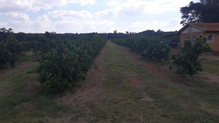 Imagem Fazenda à Venda, 66 m² em Rural - Avaré Imagem Fazenda à Venda, 66 m² em Rural - Avaré