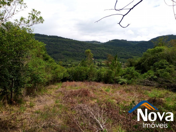 Imagem Imóvel à Venda, 120.000 m² em Linha Temerária - Nova Petrópolis Imagem Imóvel à Venda, 120.000 m² em Linha Temerária - Nova Petrópolis