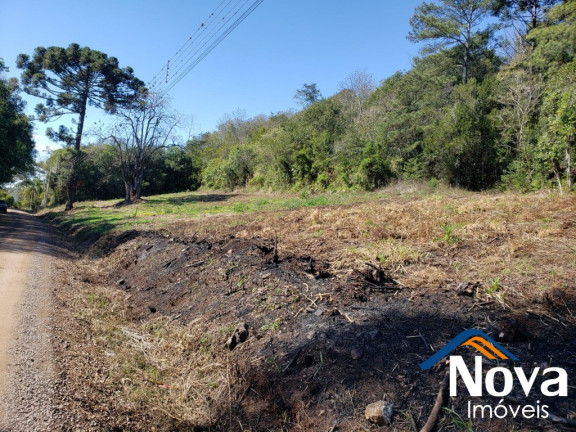 Imagem Imóvel à Venda, 11.918 m² em Linha Araripe - Nova Petrópolis