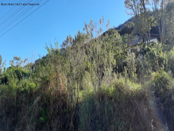 Terreno à Venda, 377 m² em Pinhal Alto - Nova Petrópolis