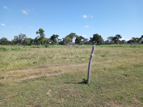 Fazenda à Venda,  em Zona Rural - Caceres