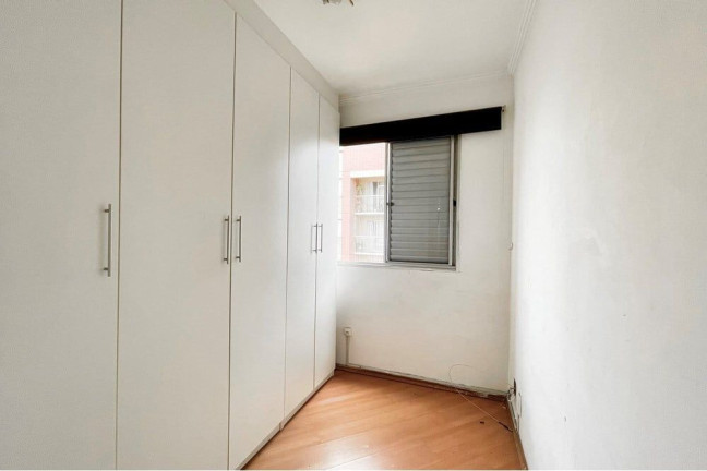 Imagem Apartamento com 3 Quartos à Venda, 61 m² em Cambuci - São Paulo Imagem Apartamento com 3 Quartos à Venda, 61 m² em Cambuci - São Paulo