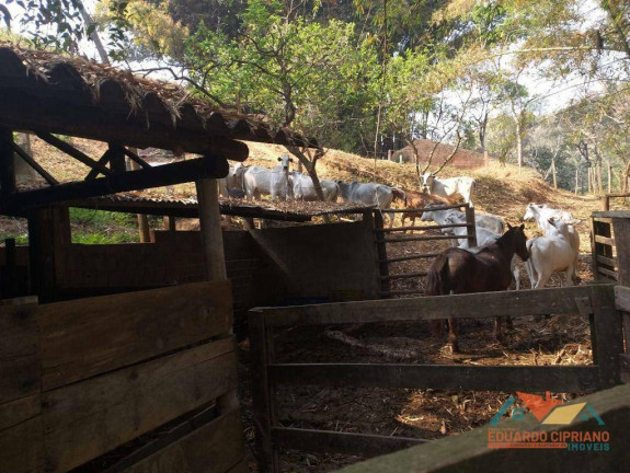 Imagem Fazenda à Venda, 1 m² em Rio Claro - Paraibuna Imagem Fazenda à Venda, 1 m² em Rio Claro - Paraibuna