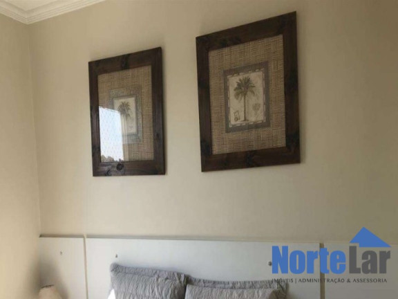 Imagem Apartamento com 2 Quartos à Venda, 50 m² em Vila Amélia - São Paulo