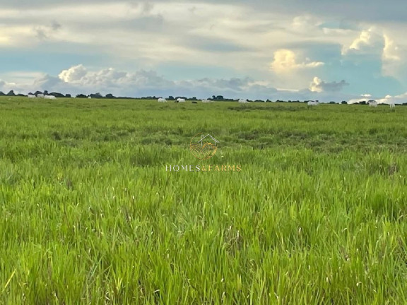 Imagem Imóvel com 12 Quartos à Venda, 12.000 m² em Centro - Tocantins Imagem Imóvel com 12 Quartos à Venda, 12.000 m² em Centro - Tocantins