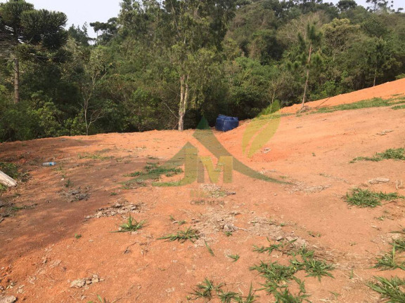 Imagem Terreno à Venda, 8.000 m² em Piracaia - Piracaia Imagem Terreno à Venda, 8.000 m² em Piracaia - Piracaia