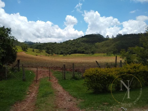 Imagem Imóvel com 3 Quartos à Venda, 1.968.000 m² em Centro - Joanópolis Imagem Imóvel com 3 Quartos à Venda, 1.968.000 m² em Centro - Joanópolis