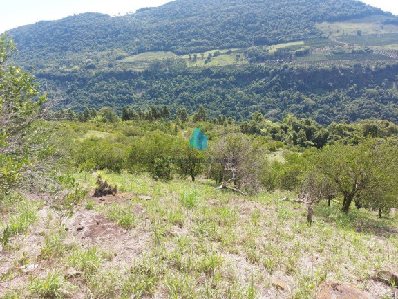Imagem Terreno à Venda, 109.312 m² em Linha Tiradentes - Veranópolis