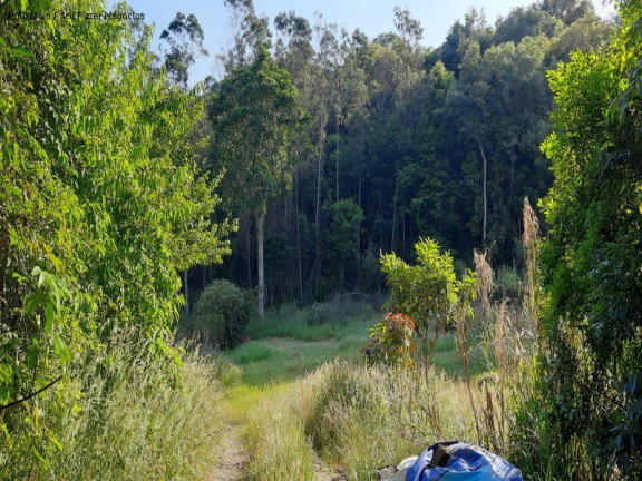 Imagem Terreno à Venda, em Bavaria - Nova Petrópolis Imagem Terreno à Venda, em Bavaria - Nova Petrópolis