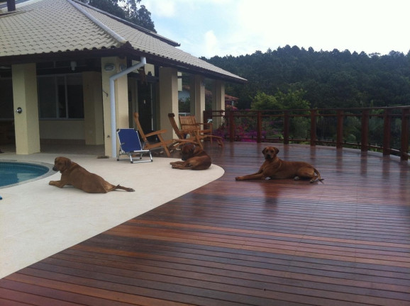 Imagem Casa com 6 Quartos à Venda, 493 m² em João Paulo - Florianópolis