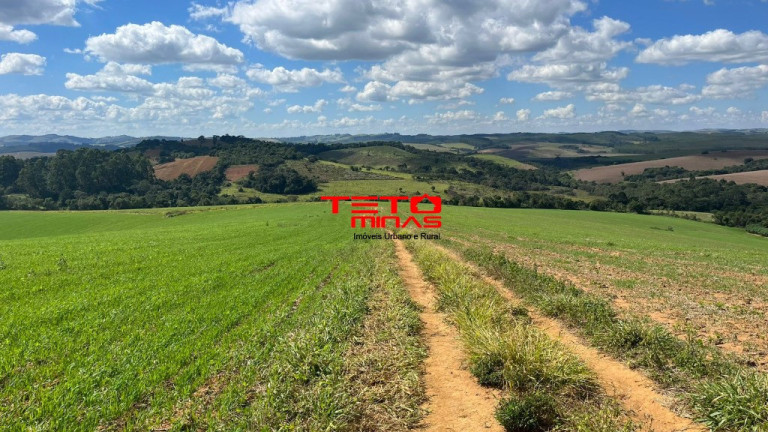 Imagem Imóvel à Venda, em Zona Rural De Zona Rural De Ipuiuna - São Lourenço Imagem Imóvel à Venda, em Zona Rural De Zona Rural De Ipuiuna - São Lourenço