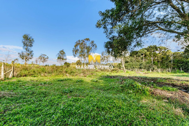 Imagem Chácara com 3 Quartos à Venda, 4.500 m² em Planta Terezinha - Piraquara Imagem Chácara com 3 Quartos à Venda, 4.500 m² em Planta Terezinha - Piraquara