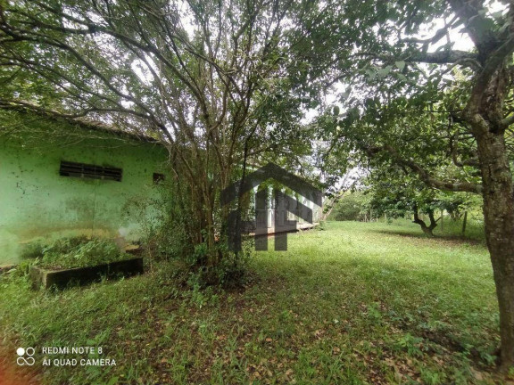 Imagem Chácara com 4 Quartos à Venda, 37.000 m² em Centro - Paudalho Imagem Chácara com 4 Quartos à Venda, 37.000 m² em Centro - Paudalho