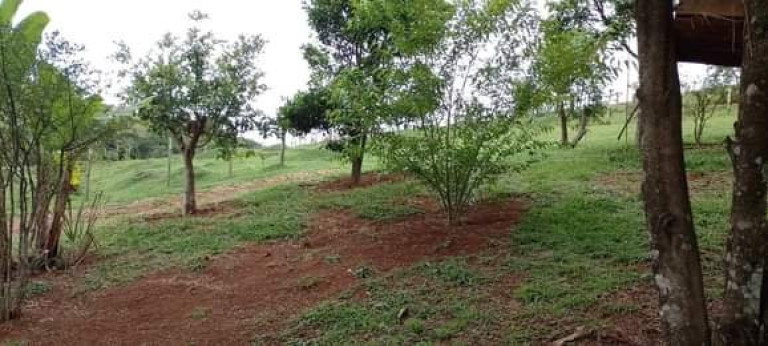 Imagem Imóvel com 2 Quartos à Venda, 120 m² em Bairro Barro Branco - Lagoinha Imagem Imóvel com 2 Quartos à Venda, 120 m² em Bairro Barro Branco - Lagoinha