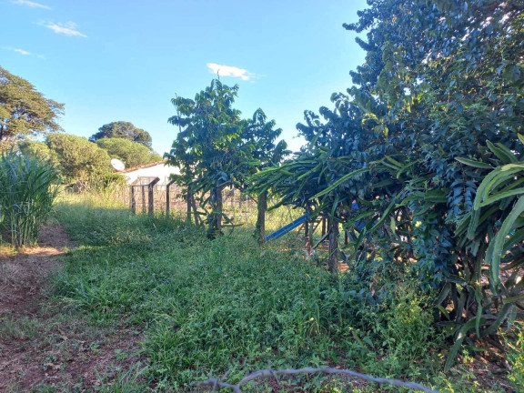 Imagem Fazenda à Venda, 65.340 m² em Bonfim - Pirassununga