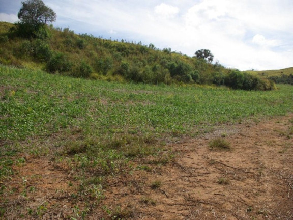 Imagem Imóvel à Venda, 435.600 m² em Zona Rural - Jacui Imagem Imóvel à Venda, 435.600 m² em Zona Rural - Jacui