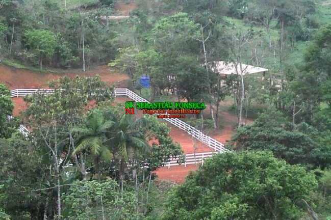 Imagem Chácara com 3 Quartos à Venda, 40.000 m² em São Francisco Xavier - São José Dos Campos