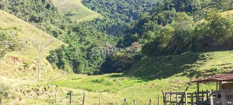 Imagem Imóvel com 4 Quartos à Venda, 431 m² em Morro Frio - Areias Imagem Imóvel com 4 Quartos à Venda, 431 m² em Morro Frio - Areias