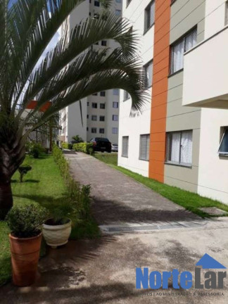 Imagem Apartamento com 2 Quartos à Venda, 50 m² em Vila Basileia - São Paulo
