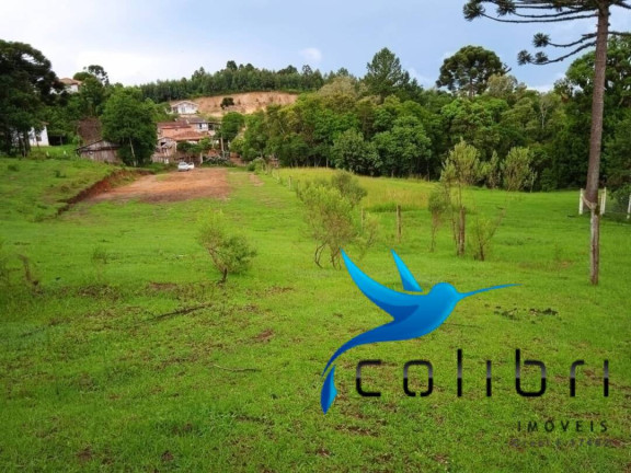 Imagem Terreno à Venda, 3.785 m² em Pinheiro Ocado - Agudos Do Sul