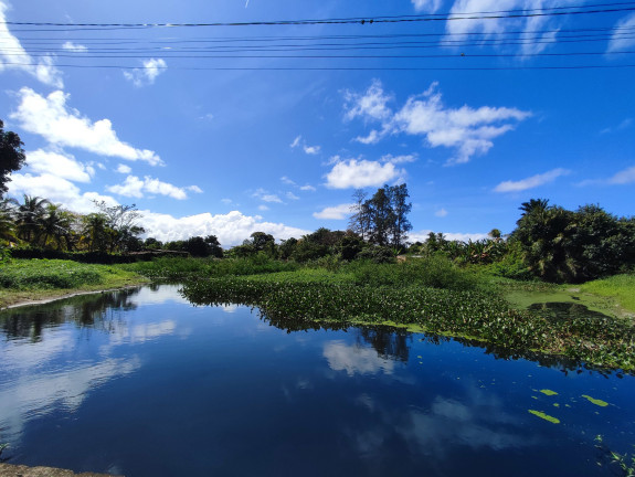 Imagem Fazenda à Venda, 200 m² em Jauá - Camaçari Imagem Fazenda à Venda, 200 m² em Jauá - Camaçari