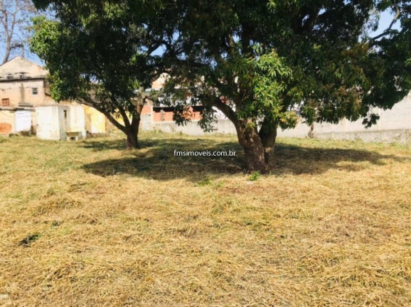 Imagem Terreno para Alugar, 2.166 m² em Paulicéia - São Bernardo Do Campo Imagem Terreno para Alugar, 2.166 m² em Paulicéia - São Bernardo Do Campo