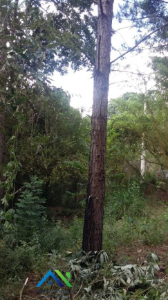 Imagem Terreno à Venda, 1.439 m² em Estância São Paulo - Campo Limpo Paulista Imagem Terreno à Venda, 1.439 m² em Estância São Paulo - Campo Limpo Paulista