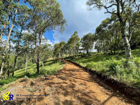 Imagem Chácara à Venda, 41 m² em Pitangueiras - Pedra Bela
