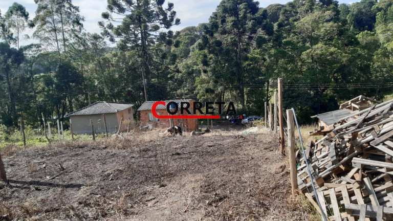Imagem Terreno à Venda, 500 m² em Vargem Do Salto - Ibiúna Imagem Terreno à Venda, 500 m² em Vargem Do Salto - Ibiúna