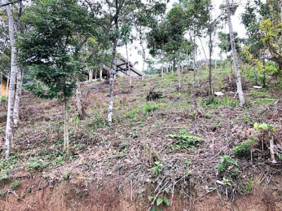 Imagem Terreno à Venda, 429 m² em Vargem Grande - Teresópolis Imagem Terreno à Venda, 429 m² em Vargem Grande - Teresópolis