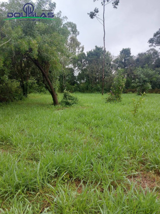 Imagem Terreno à Venda, 600 m² em águas Claras - Viamão Imagem Terreno à Venda, 600 m² em águas Claras - Viamão